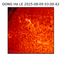 gong - 2025-08-09T03:00:42