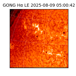 gong - 2025-08-09T05:00:42