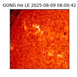 gong - 2025-08-09T06:00:42