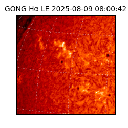 gong - 2025-08-09T08:00:42