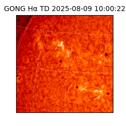 gong - 2025-08-09T10:00:22