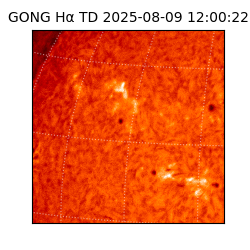 gong - 2025-08-09T12:00:22