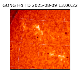 gong - 2025-08-09T13:00:22