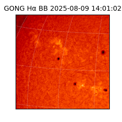 gong - 2025-08-09T14:01:02
