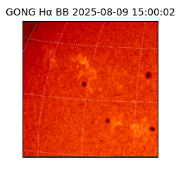 gong - 2025-08-09T15:00:02