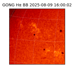 gong - 2025-08-09T16:00:02