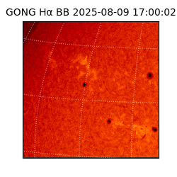 gong - 2025-08-09T17:00:02