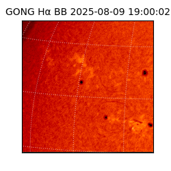 gong - 2025-08-09T19:00:02