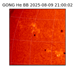 gong - 2025-08-09T21:00:02