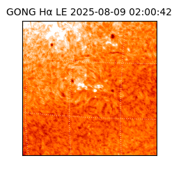 gong - 2025-08-09T02:00:42