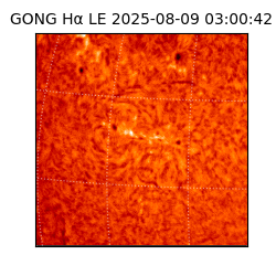gong - 2025-08-09T03:00:42