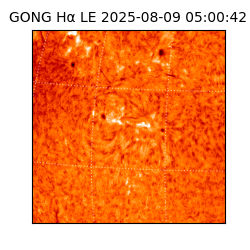 gong - 2025-08-09T05:00:42