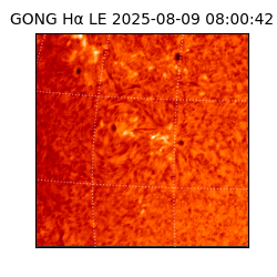 gong - 2025-08-09T08:00:42