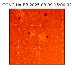 gong - 2025-08-09T15:00:02