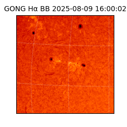 gong - 2025-08-09T16:00:02