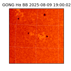 gong - 2025-08-09T19:00:02