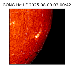 gong - 2025-08-09T03:00:42