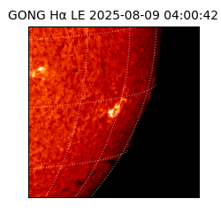 gong - 2025-08-09T04:00:42