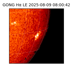 gong - 2025-08-09T08:00:42