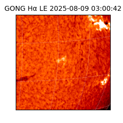 gong - 2025-08-09T03:00:42