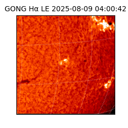 gong - 2025-08-09T04:00:42