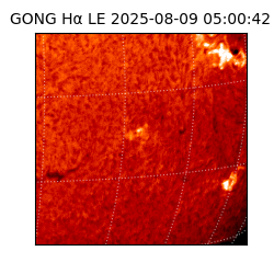 gong - 2025-08-09T05:00:42
