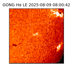 gong - 2025-08-09T08:00:42