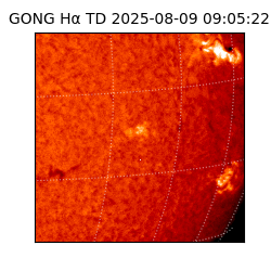 gong - 2025-08-09T09:05:22