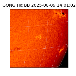 gong - 2025-08-09T14:01:02