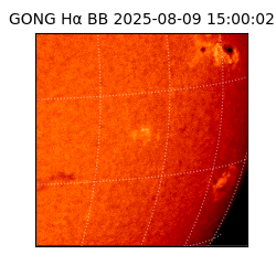 gong - 2025-08-09T15:00:02