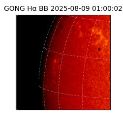 gong - 2025-08-09T01:00:02