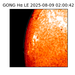 gong - 2025-08-09T02:00:42