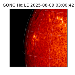 gong - 2025-08-09T03:00:42
