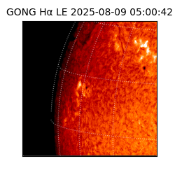 gong - 2025-08-09T05:00:42