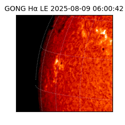 gong - 2025-08-09T06:00:42