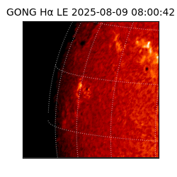 gong - 2025-08-09T08:00:42