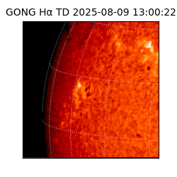 gong - 2025-08-09T13:00:22