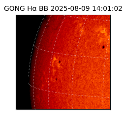gong - 2025-08-09T14:01:02