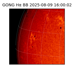 gong - 2025-08-09T16:00:02