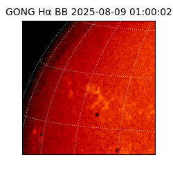 gong - 2025-08-09T01:00:02