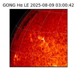 gong - 2025-08-09T03:00:42
