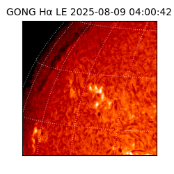 gong - 2025-08-09T04:00:42