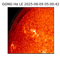 gong - 2025-08-09T05:00:42