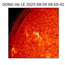 gong - 2025-08-09T06:00:42
