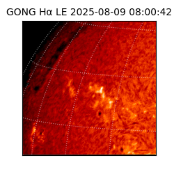 gong - 2025-08-09T08:00:42