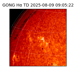 gong - 2025-08-09T09:05:22