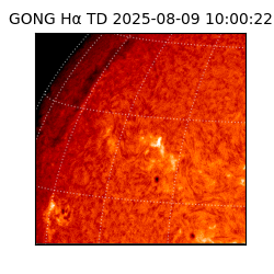 gong - 2025-08-09T10:00:22