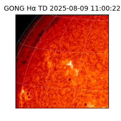 gong - 2025-08-09T11:00:22