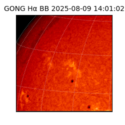 gong - 2025-08-09T14:01:02