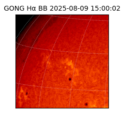 gong - 2025-08-09T15:00:02